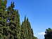 Психология труда на телевидении и психология телезрителя ргнти (массовая коммуникация журналистика средства массовой информации).