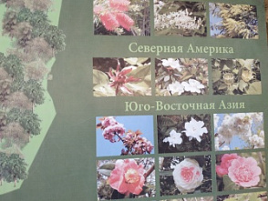 Психология ум ср.